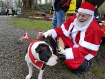 Kerstman met "rendier" Qai