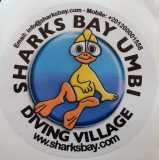 Sharks-Bay-Umbi