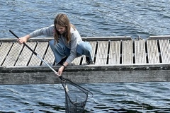 image00086