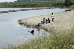 image00136