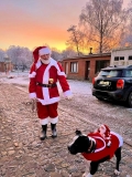 Kerstman