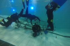 Nettraining