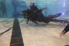 Nettraining