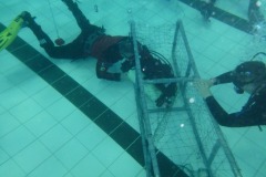 Nettraining