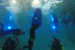 Nettraining