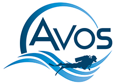 NELOS Bijscholing: Aanspreekpunt Integriteit @ Duikershuis