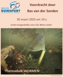 Themaduik Wormen @ OptiSport / Buurthuis De Wemel
