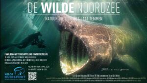 Film "De Wilde Noordzee" @ Sphinx cinema